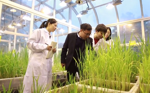 魏太云：聚焦強農(nóng)興農(nóng)需求，傳承...